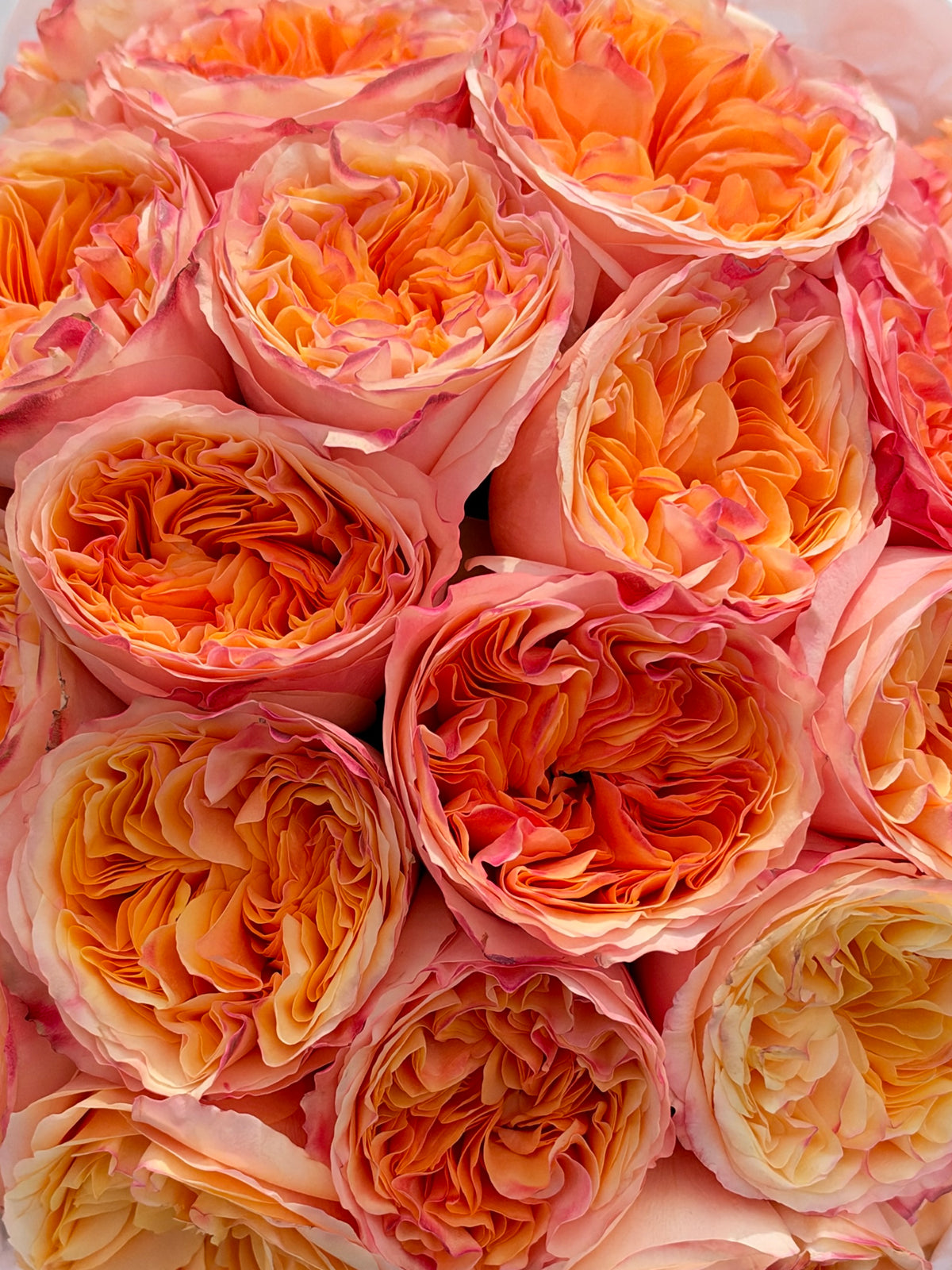 X-Pression Rose Bouquet "Golden Hour Silk"