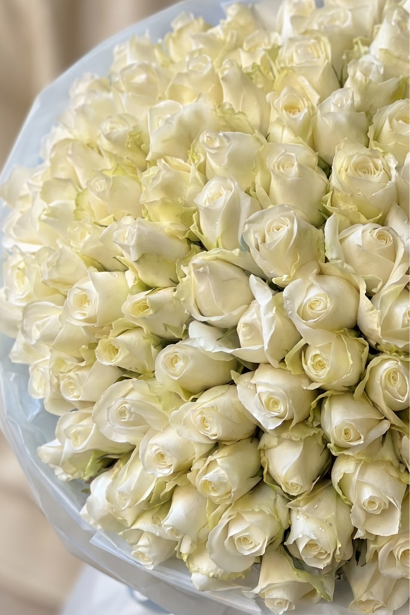 Rose Bouquet "Snow Kissed"